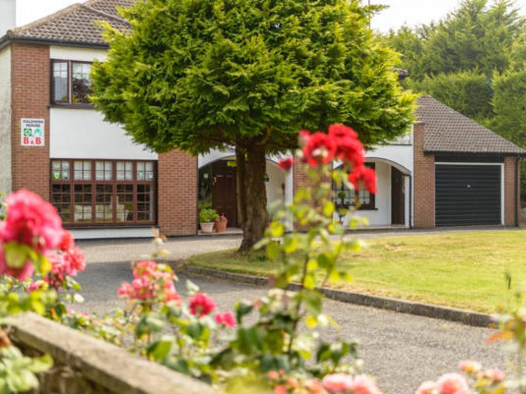 Killowen House B&B Drogheda Kültér fotó