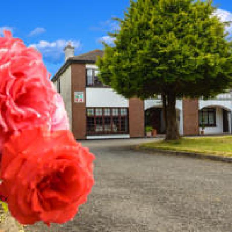 Killowen House B&B Drogheda Kültér fotó